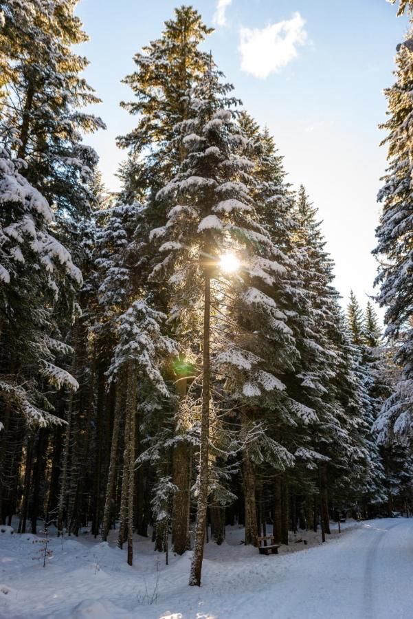 Дома для отпуска Original Wooden Lodge SG Жабляк-20