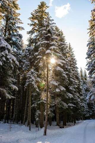 Дома для отпуска Original Wooden Lodge SG Жабляк Дом с 3 спальнями-17