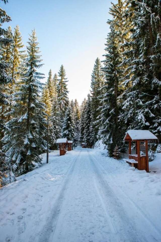 Дома для отпуска Original Wooden Lodge SG Жабляк-20